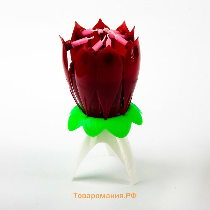 Свеча для торта музыкальная «Тюльпан», красная, 12×5 см
