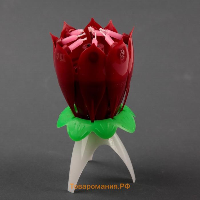 Свеча для торта музыкальная «Тюльпан», красная, 12×5 см