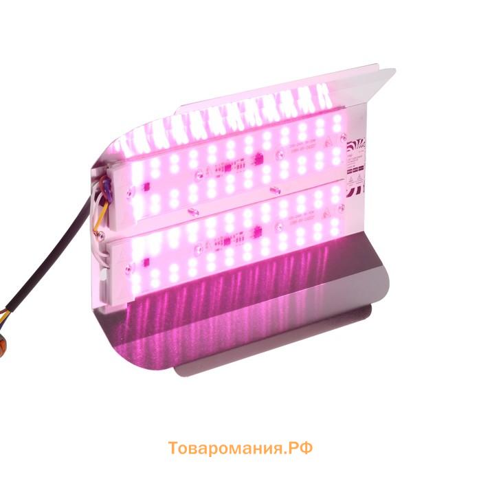 Фитопрожектор для растений Lighting СДО09-100, светодиодный, 100 Вт, IP65, 220 В, бескорпусный, мультиспектральный