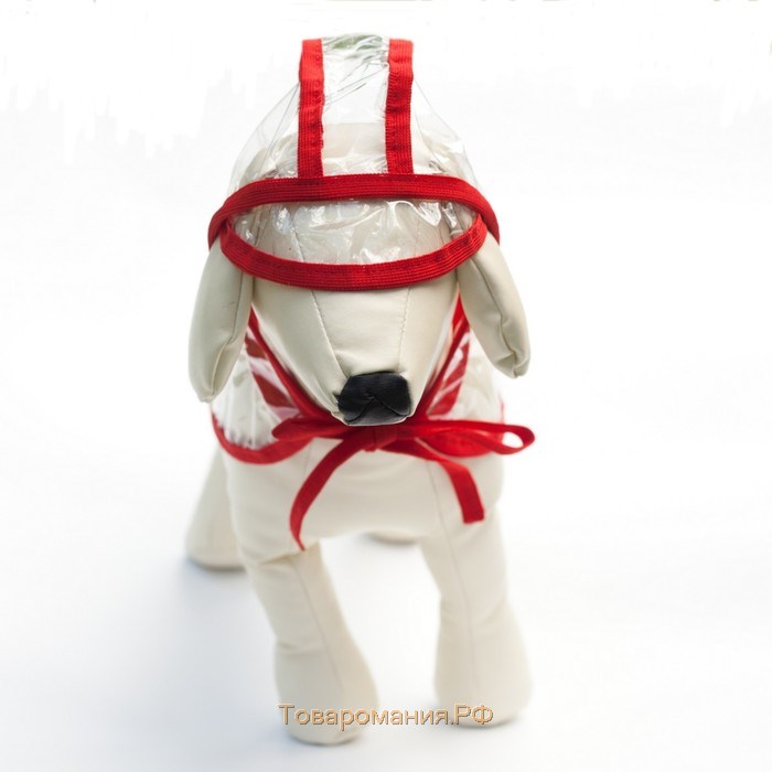 Дождевик с капюшоном для собак OSSO, р. 30 (ДС 30 см), прозрачный, окантовка микс цветов