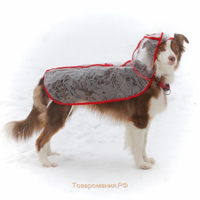 Дождевик с капюшоном для собак OSSO, р. 50 (ДС 50 см), прозрачный, окантовка микс цветов