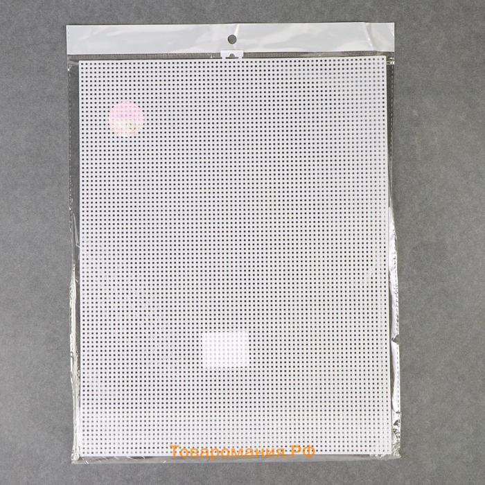 Канва для вышивания №11, пластиковая, 26 × 34 см, цвет белый