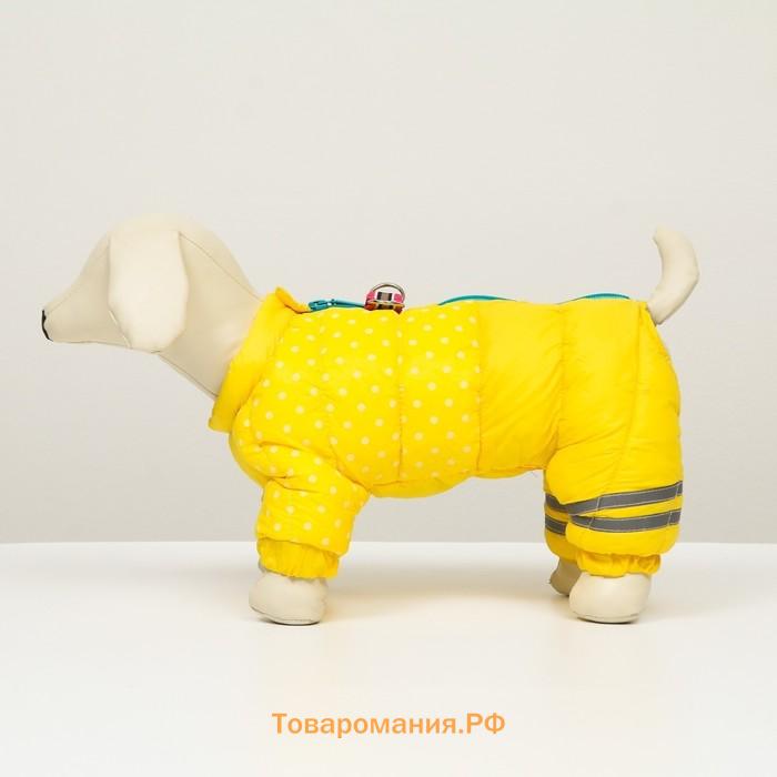 Комбинезон для собак  "Горошек", размер 12 (ДС 25, ОГ 36, ОШ 28 см), жёлтый