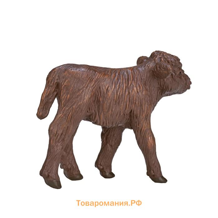 Фигурка Konik «Хайлендский телёнок»