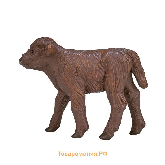 Фигурка Konik «Хайлендский телёнок»