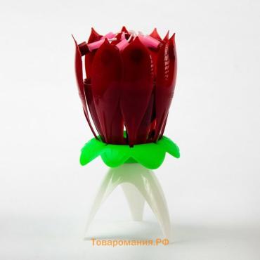 Свеча для торта музыкальная «Тюльпан», красная, 12×5 см