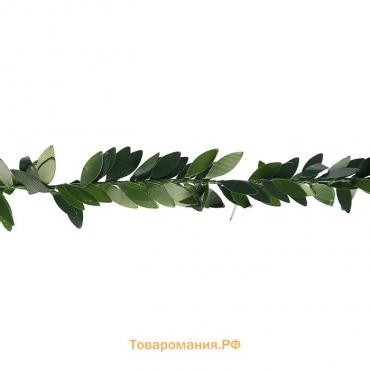 Тесьма пластик, металл "Зелёные листья" ширина 2 см намотка 2 метра