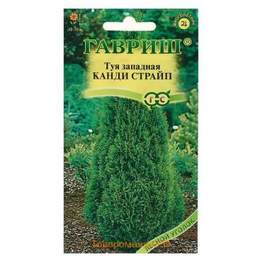 Семена Туя западная "Канди Страйп", ц/п,   0,05 г